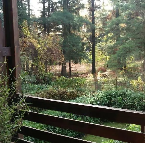 Apartament Bianca *